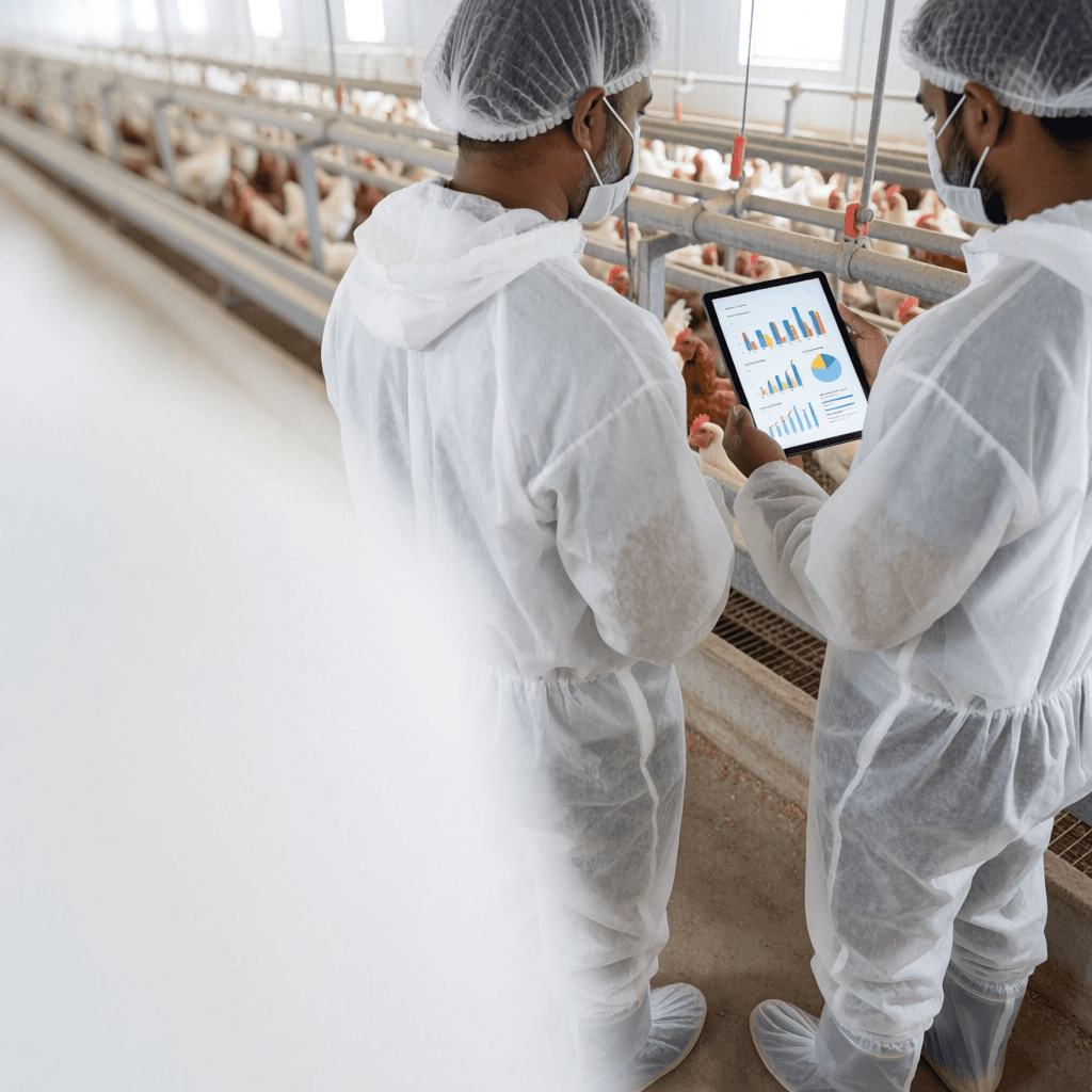 Healthy poultry and livestock thriving in a well-managed farm environment